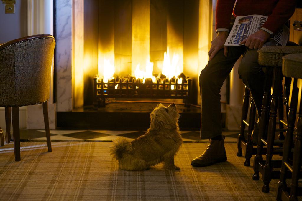 Headlam Hall Hotel Εξωτερικό φωτογραφία